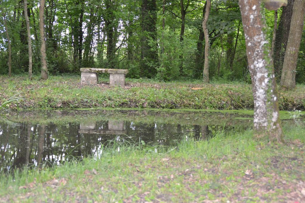 Gite De La Ronceraie Chaumont-sur-Loire Esterno foto
