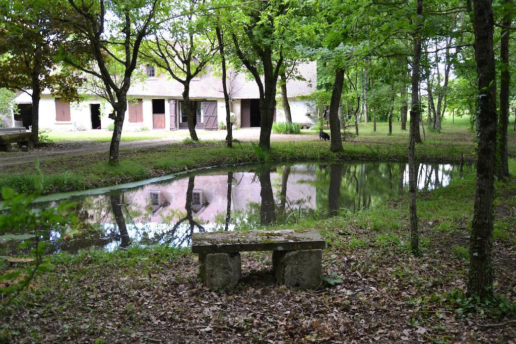 Gite De La Ronceraie Chaumont-sur-Loire Esterno foto